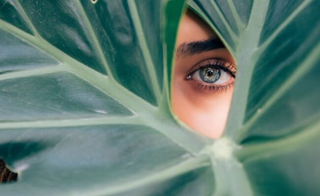 woman-peeking-over-green-leaf-plant-taken-at-daytime-cTKGZJTMJQU