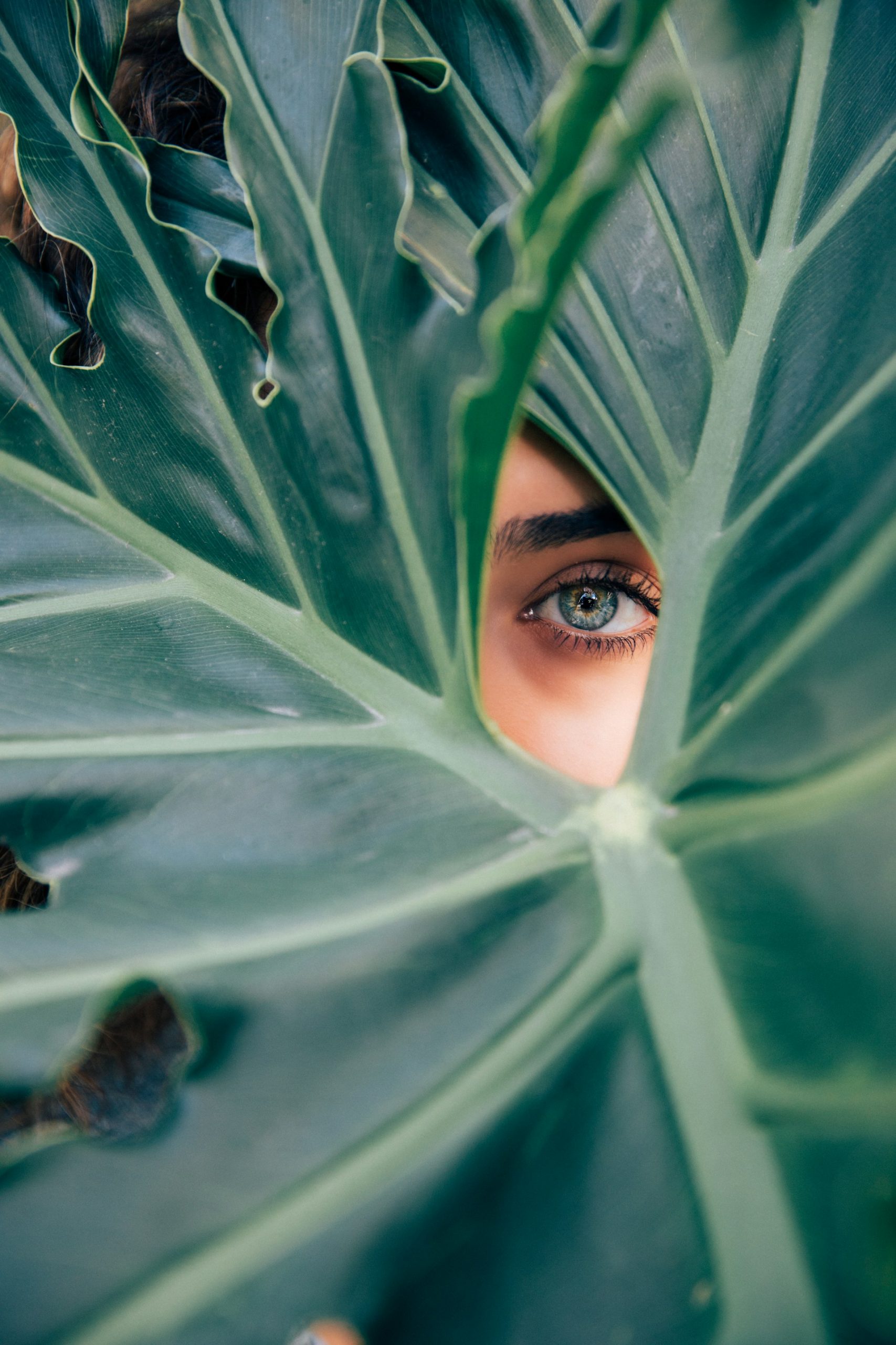 woman-peeking-over-green-leaf-plant-taken-at-daytime-cTKGZJTMJQU