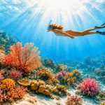 Mergulhadora com máscara, snorkel e barbatanas a nadar sobre um recife de coral colorido, com raios de sol a atravessar a água azul e areia branca no fundo do mar.