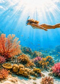 Mergulhadora com máscara, snorkel e barbatanas a nadar sobre um recife de coral colorido, com raios de sol a atravessar a água azul e areia branca no fundo do mar.