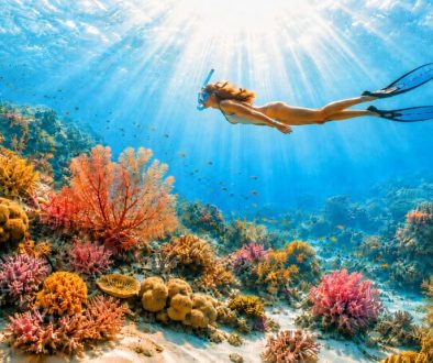Mergulhadora com máscara, snorkel e barbatanas a nadar sobre um recife de coral colorido, com raios de sol a atravessar a água azul e areia branca no fundo do mar.